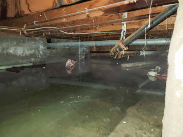 Best Sewage cleanup and water damage restoration  in West Conshohocken, PA