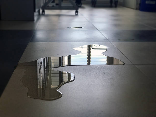 Best Commercial water damage restoration  in West Conshohocken, PA