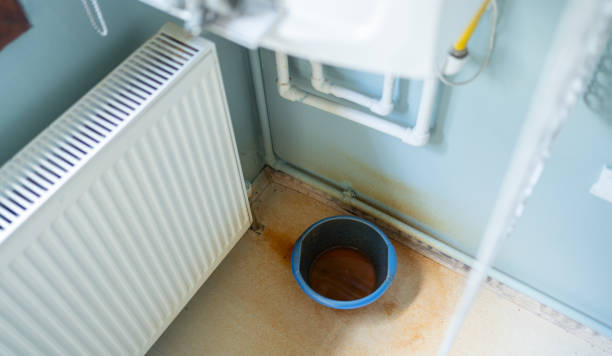 Best Ceiling water damage repair  in West Conshohocken, PA