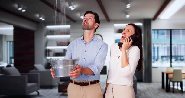 Best Local water damage restoration  in West Conshohocken, PA