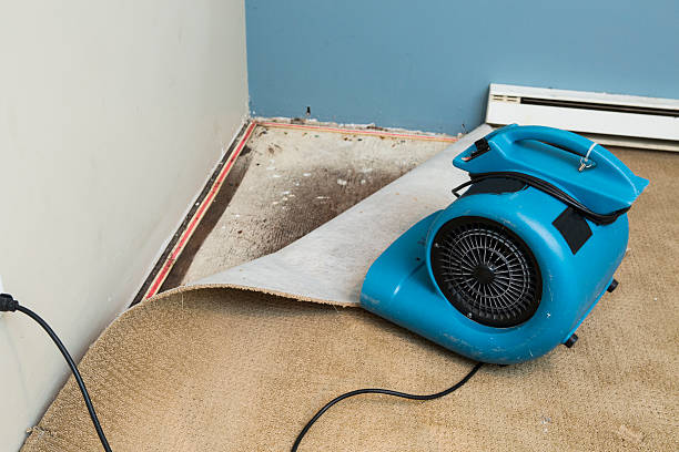 Best Mold removal after water damage  in West Conshohocken, PA